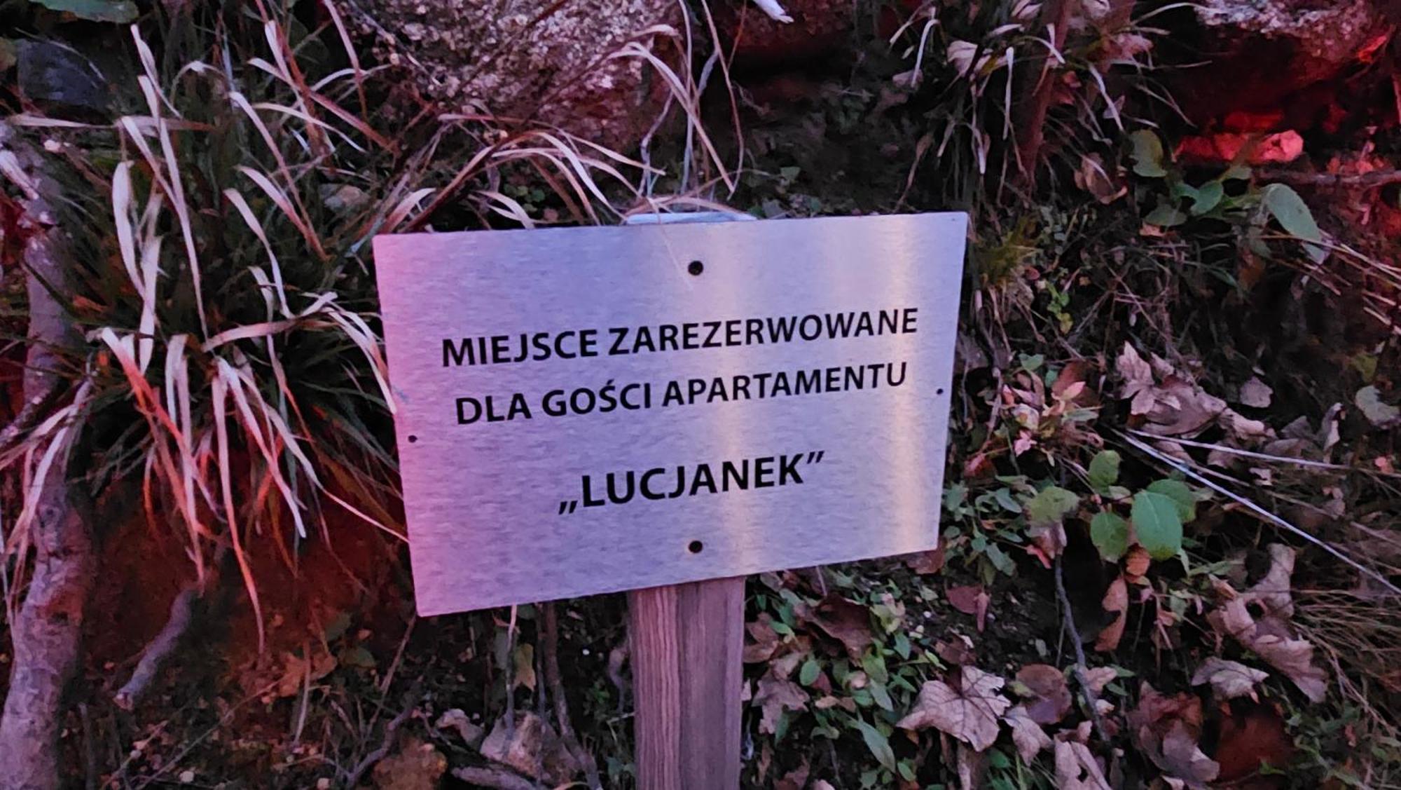 Apartament Lucjanek カルパッチ エクステリア 写真